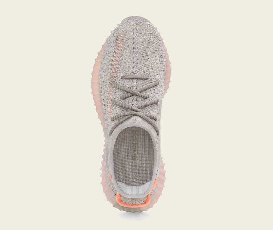 adidas Yeezy Boost 350 V2 “True Form” release photo 4
