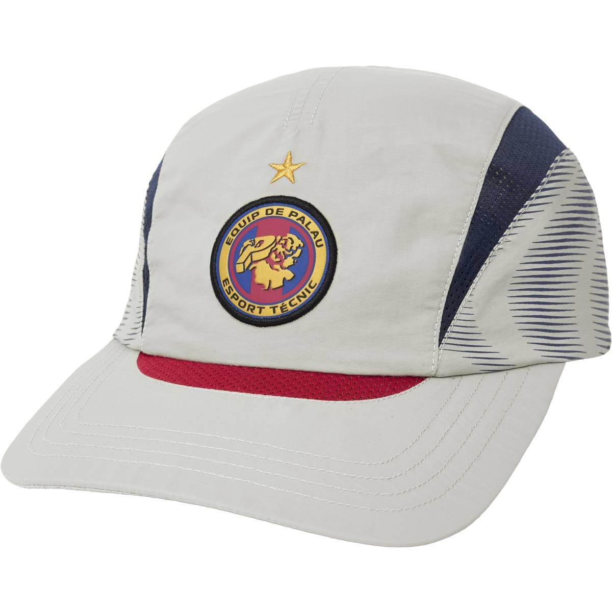 Pro Team Shell 6-panel Grey release photo 1