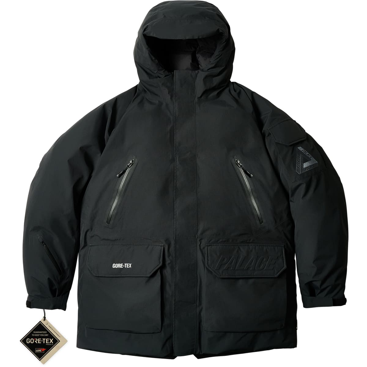 Gore-tex Cargo Down Parka Black release photo 1