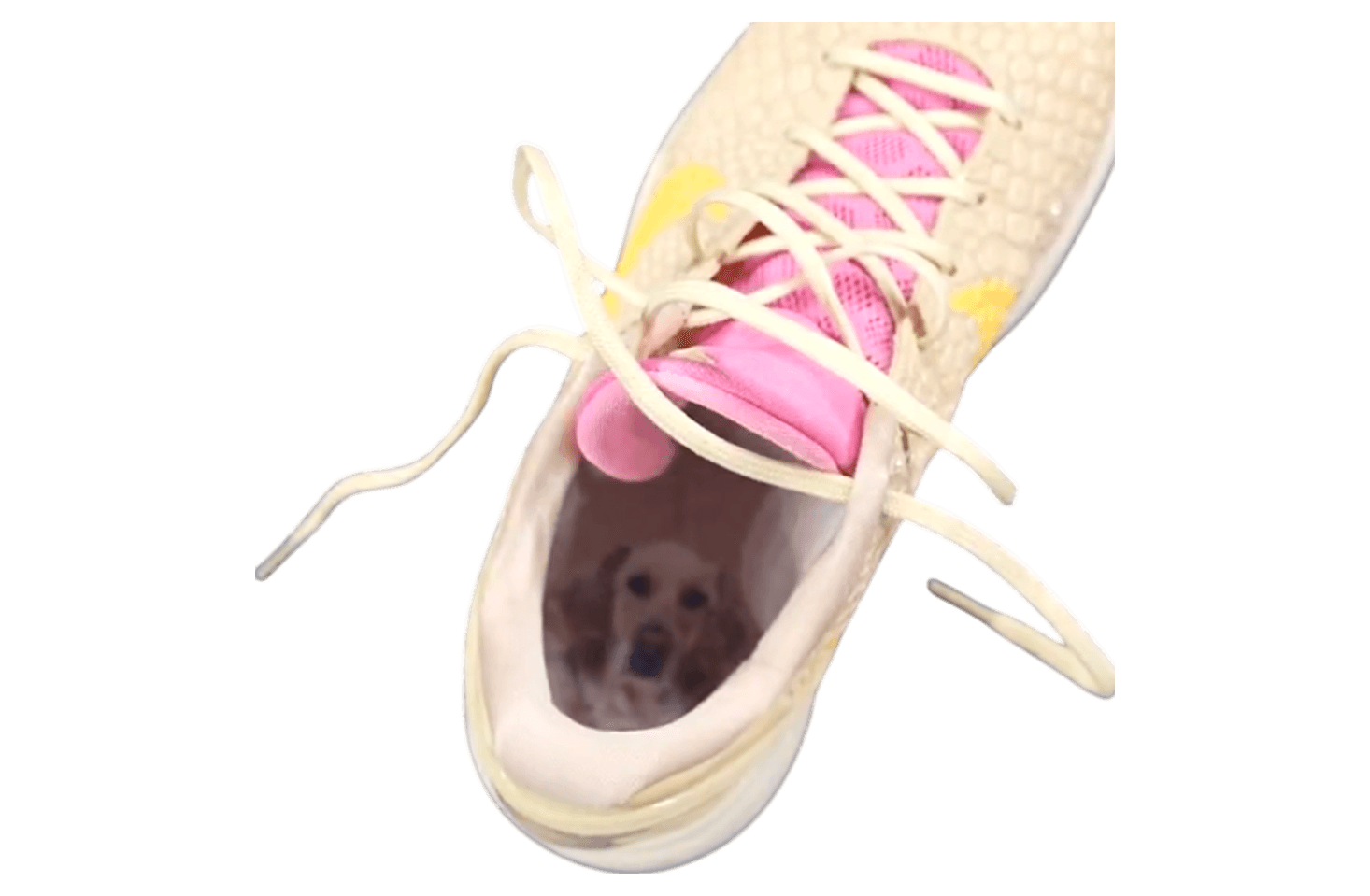 Caitlin Clark x Nike Kobe 6 Bella PE release photo 2