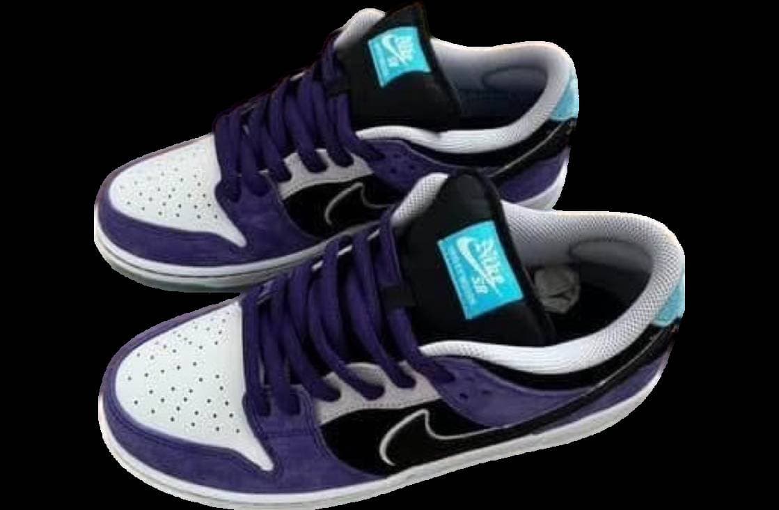 Hayley Wilson x Nike SB Dunk Low Court Purple / White release photo 1