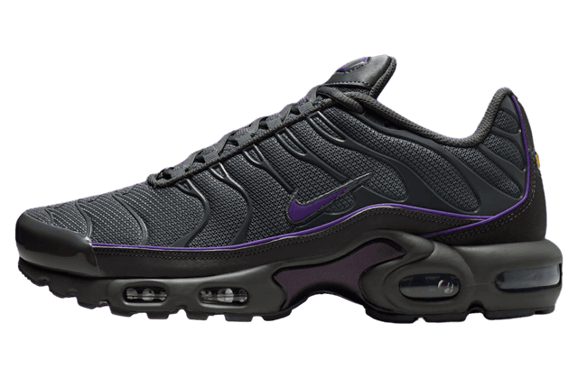 Nike Air Max Plus Iron Grey / Wild Grape Nike release photo