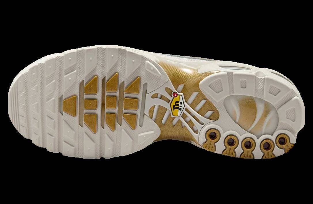 Nike Air Max Plus Tiempo Phantom / Metallic Gold release photo 6