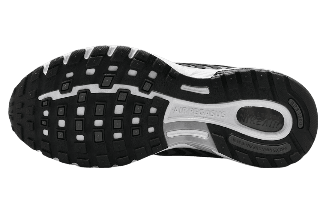 Nike Air Pegasus 2k5 Black / Metallic Silver / White release photo 6