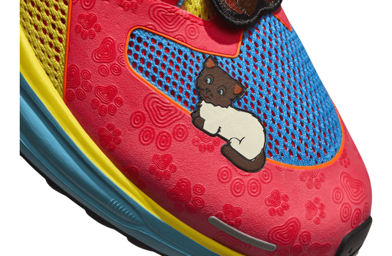 Nike Air Zoom Pegasus 41 Doernbecher release photo 4