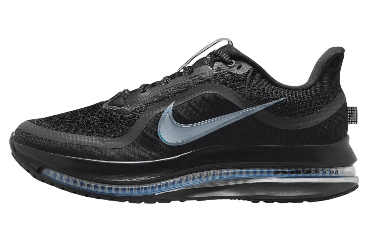 Nike Pegasus Premium Black / Metallic Silver release photo 1