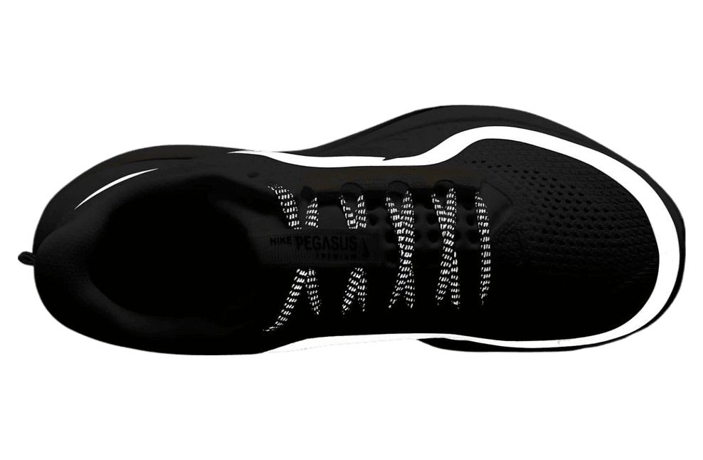 Nike Pegasus Premium Sail / Alabaster release photo 3