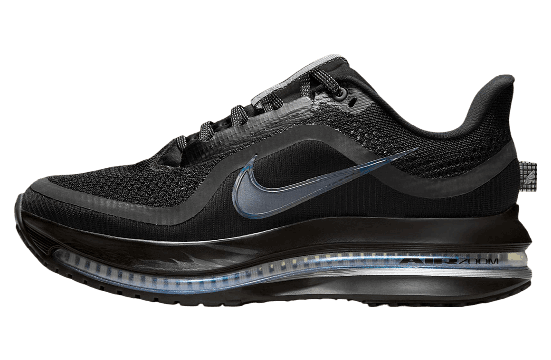 Nike Pegasus Premium WMNS Black / Metallic Silver release photo 1