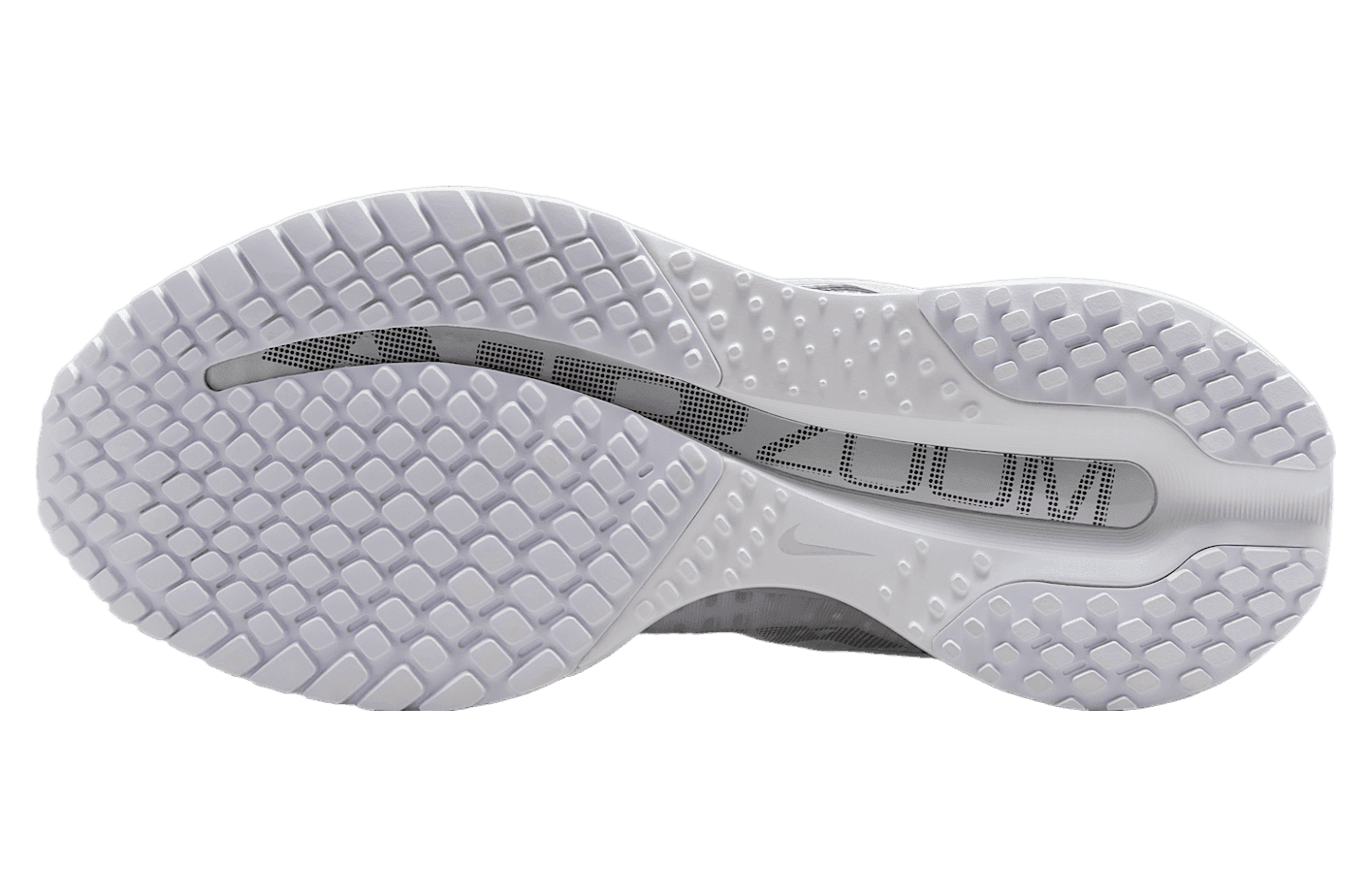 Nike Pegasus Premium WMNS White / Metallic Silver release photo 2
