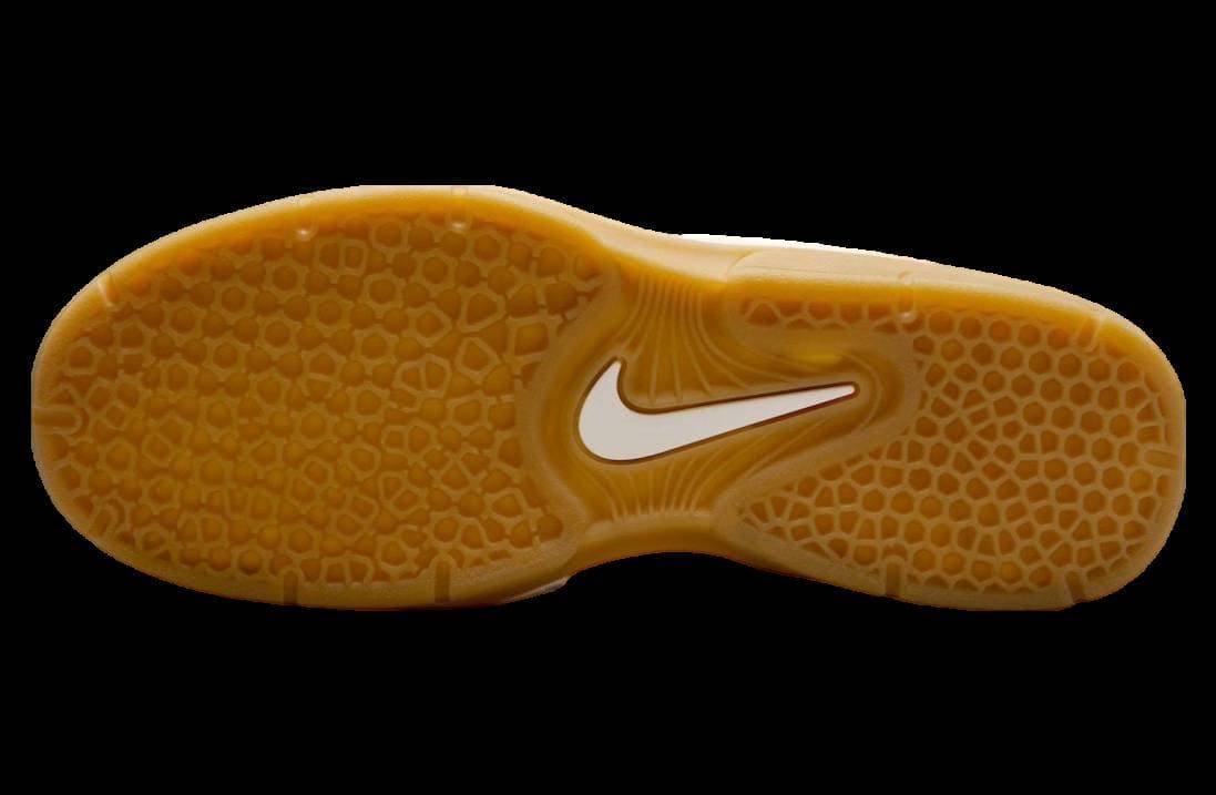 Nike SB Vertebrae University Blue release photo 6