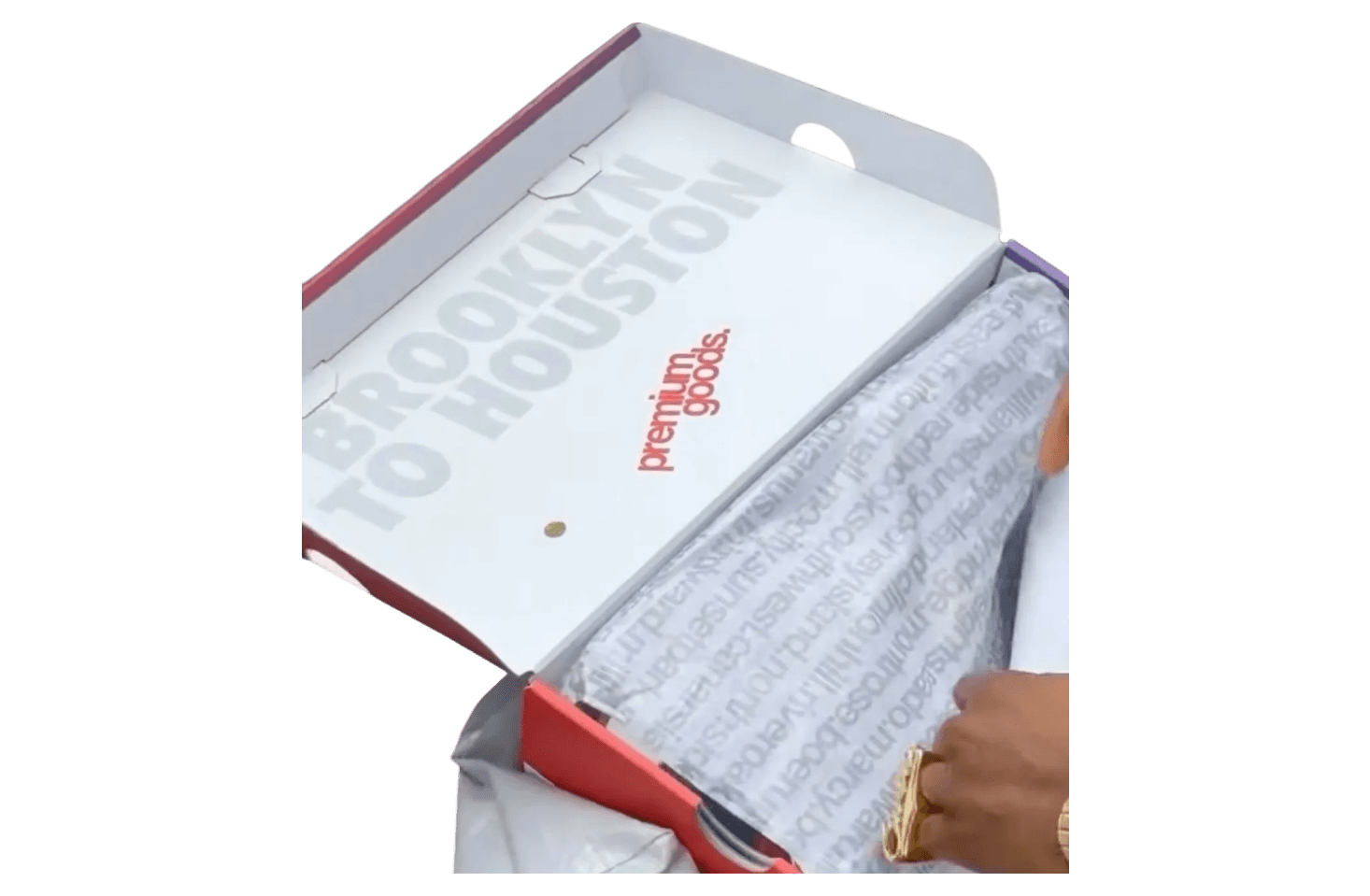 Premium Goods x Nike Air Max 1 White / Metallic Silver release photo 3