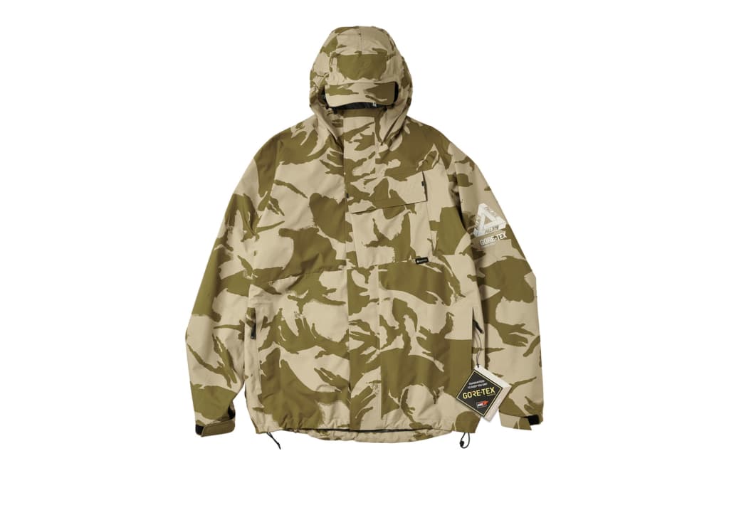 PALACE GORE-TEX P CAP JACKET release photo 4