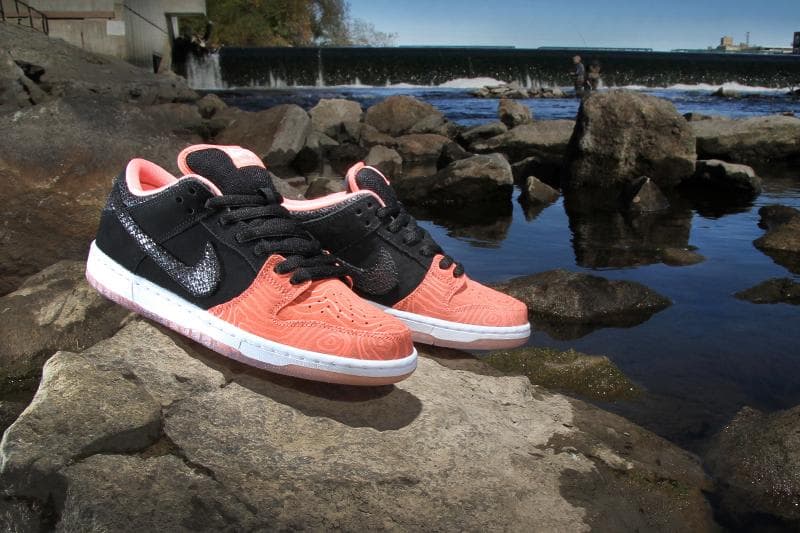 Premier x Nike SB Dunk Low release photo 2