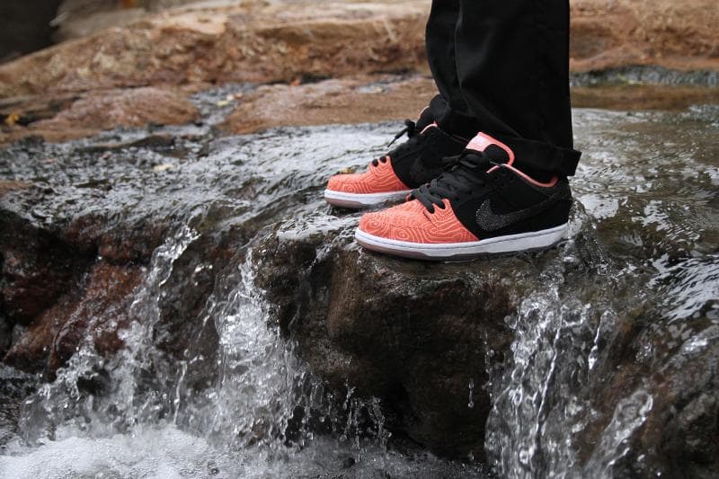 Premier x Nike SB Dunk Low release photo 3