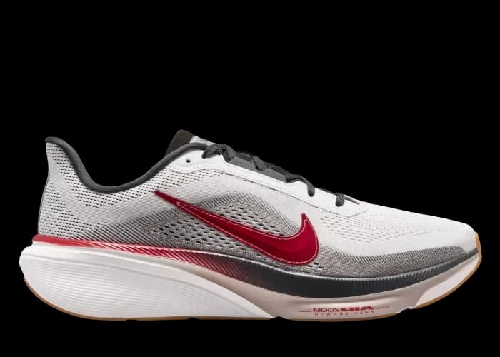 Nike Air Zoom Pegasus 42 Now and Then release photo 1