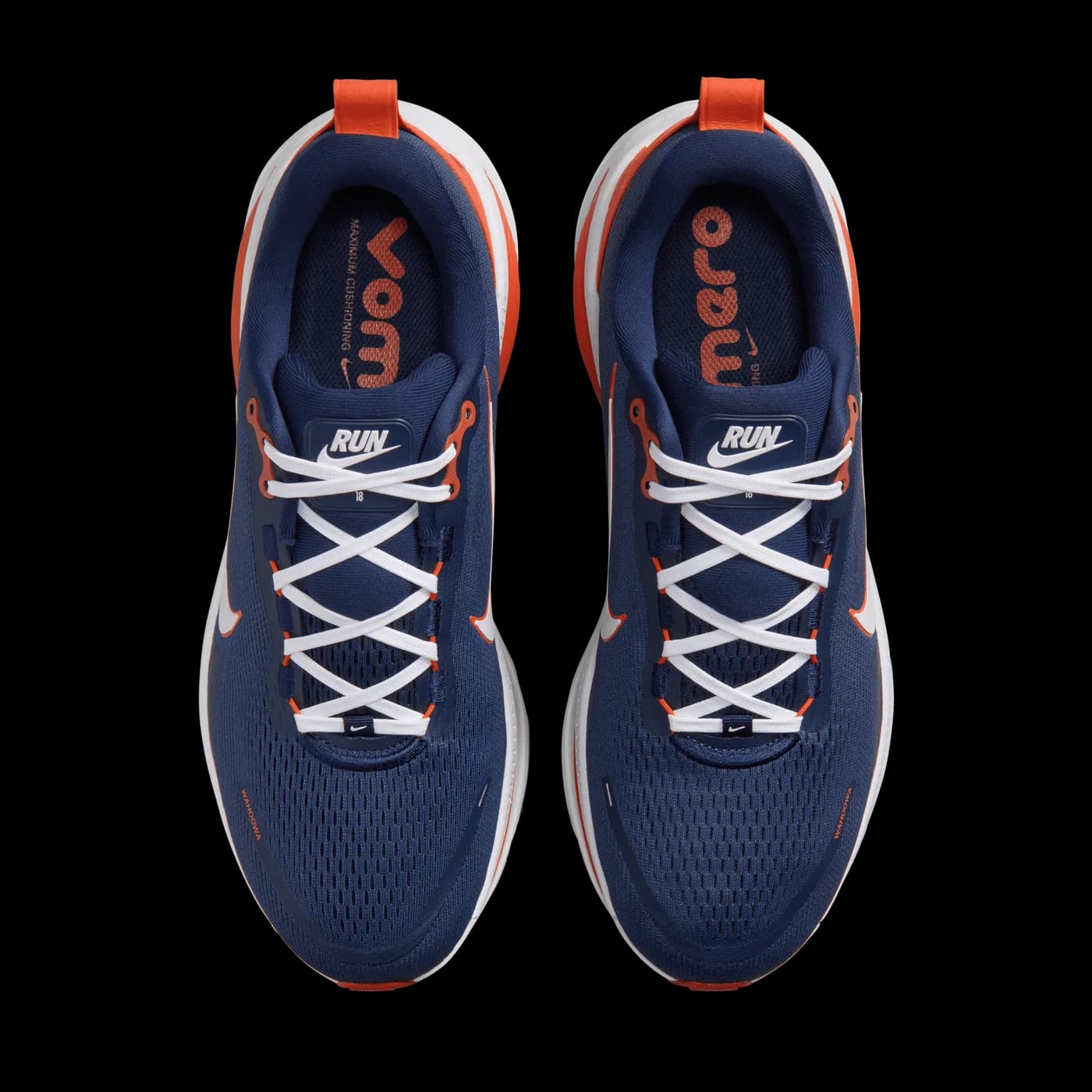 Nike Vomero 18 Virginia release photo 5