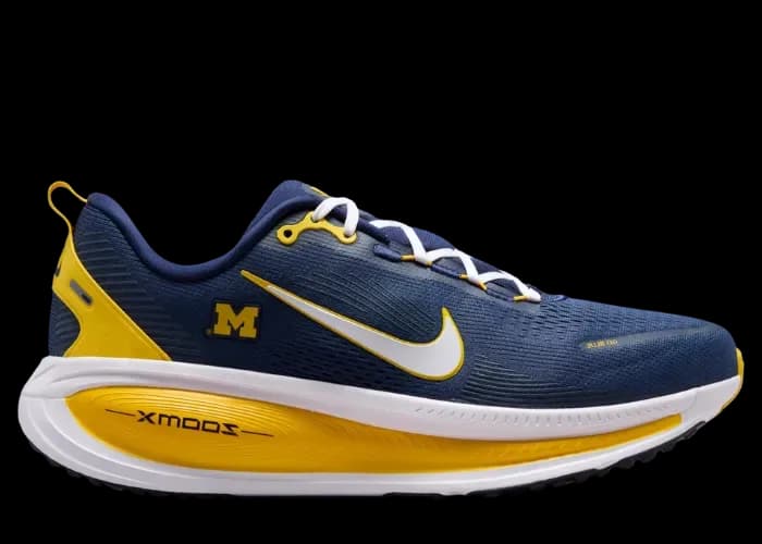 Nike Vomero 18 Michigan release photo 1