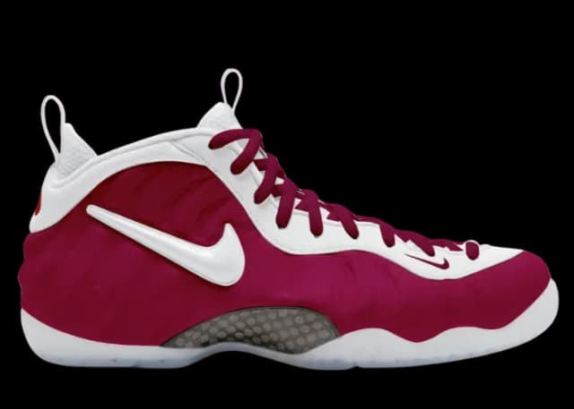 Nike Air Foamposite Pro FSU Nike release photo