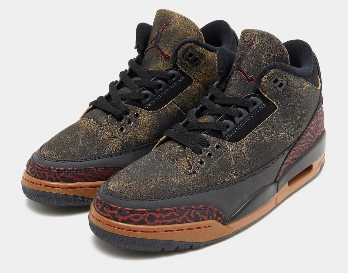 Air Jordan 3 “Not Nice” release photo 1