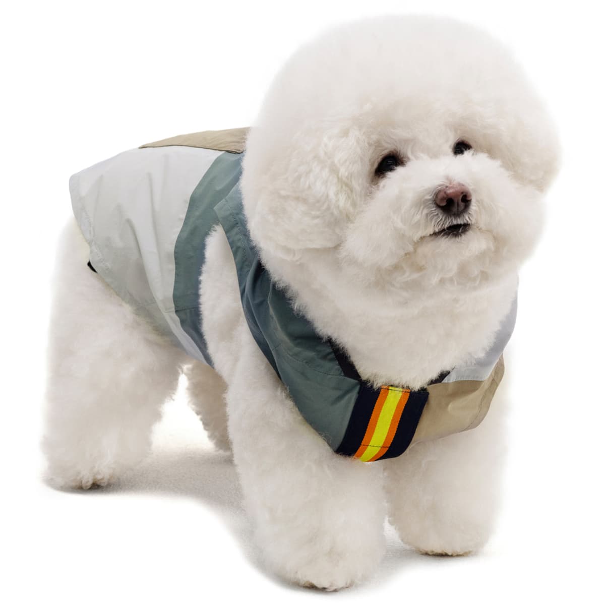 Palace K-way Le Vrai 3.0 Horatio Dog Jacket Multi / Blue / Black release photo 1