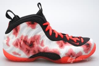 Nike Air Foamposite One Nike release photo