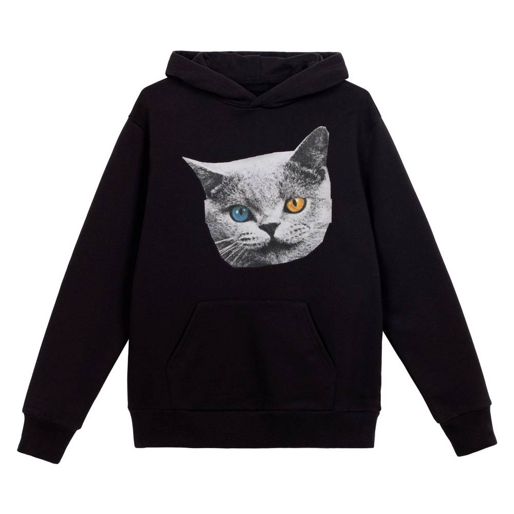 Shark Cat Hoodie