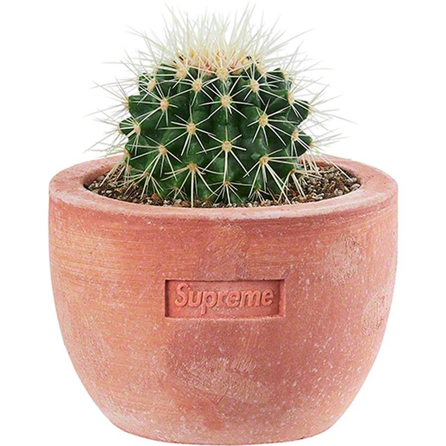 Supreme®/poggi Ugo Small Planter