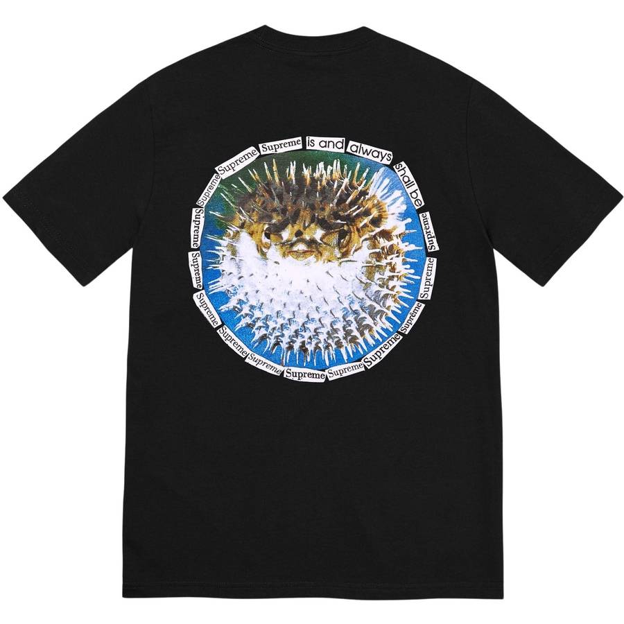 Blowfish Tee