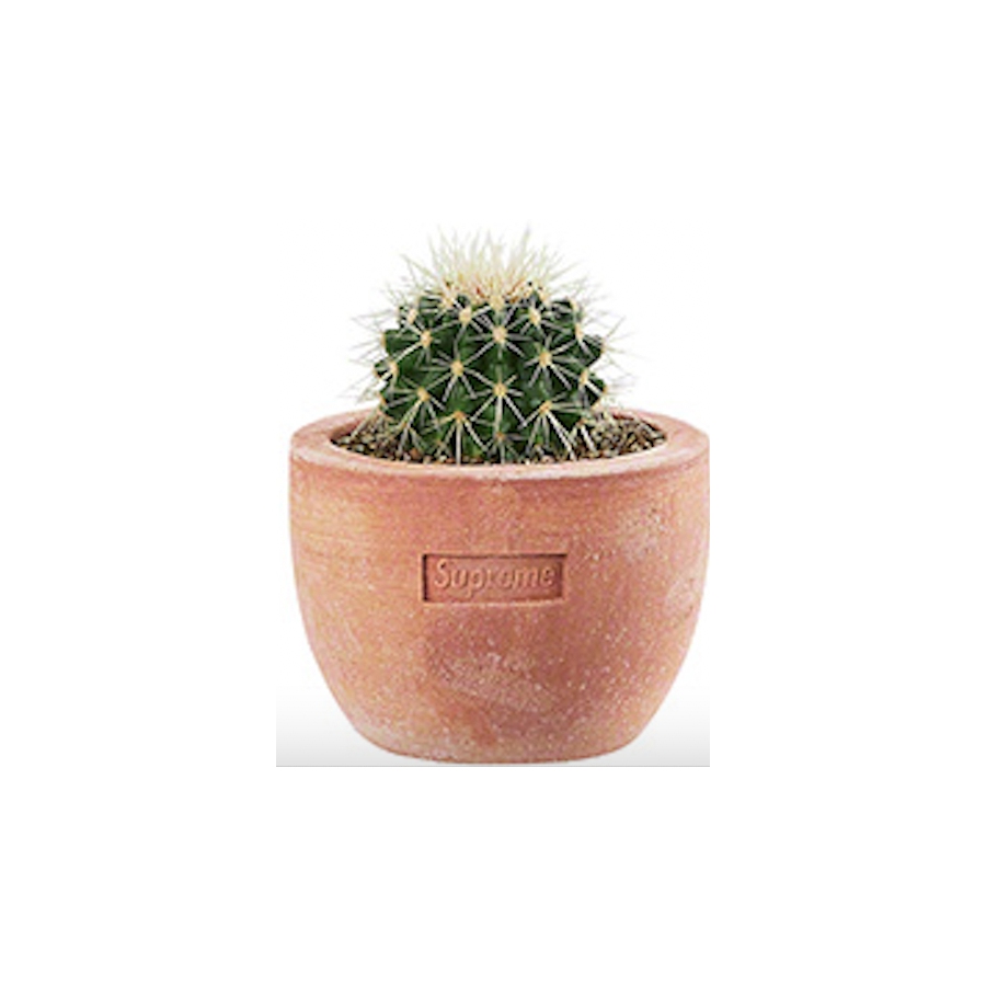 週末限定直輸入♪ Supreme Poggi Ugo small Planter 鉢 - 植物/観葉植物