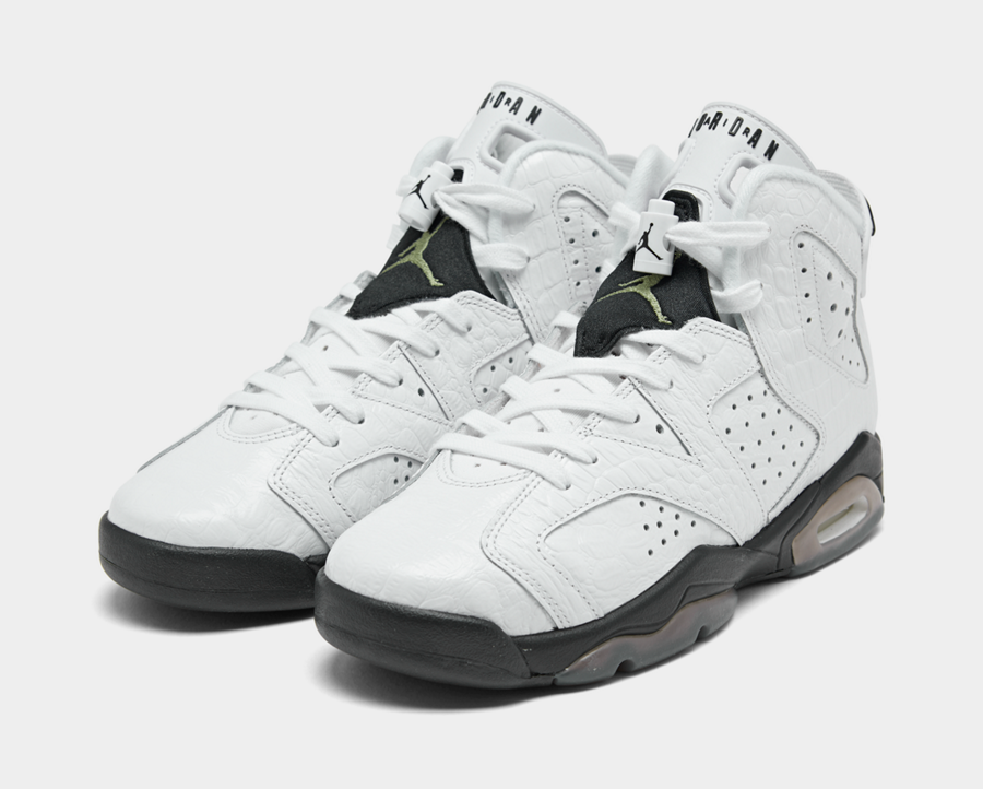 Air Jordan 6 GS