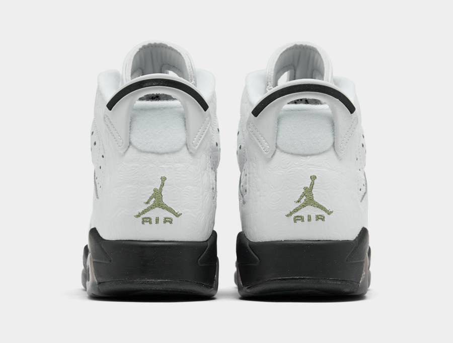 Air Jordan 6 GS