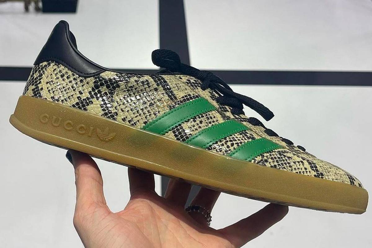 Gucci x adidas Gazelle