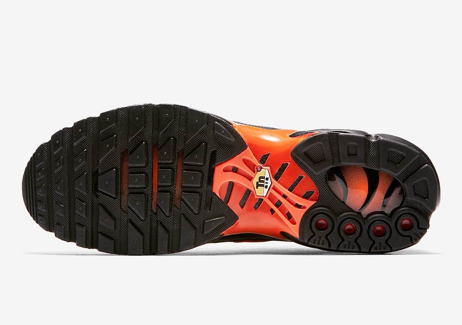 Nike Air Max Plus