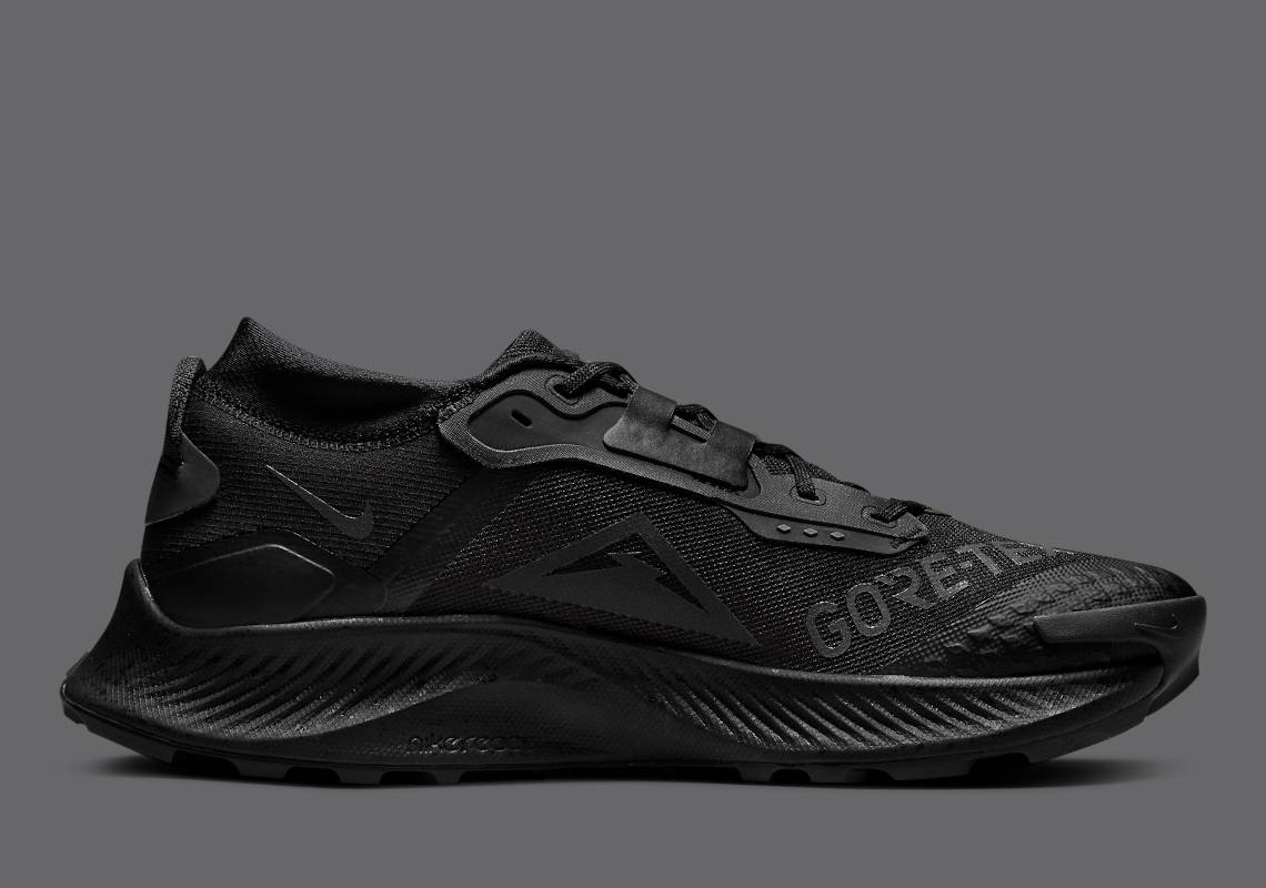 Nike Pegasus Trail 3 GORE-TEX