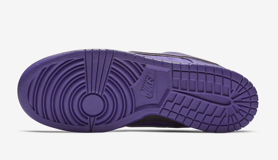 Concepts x Nike SB Dunk Low