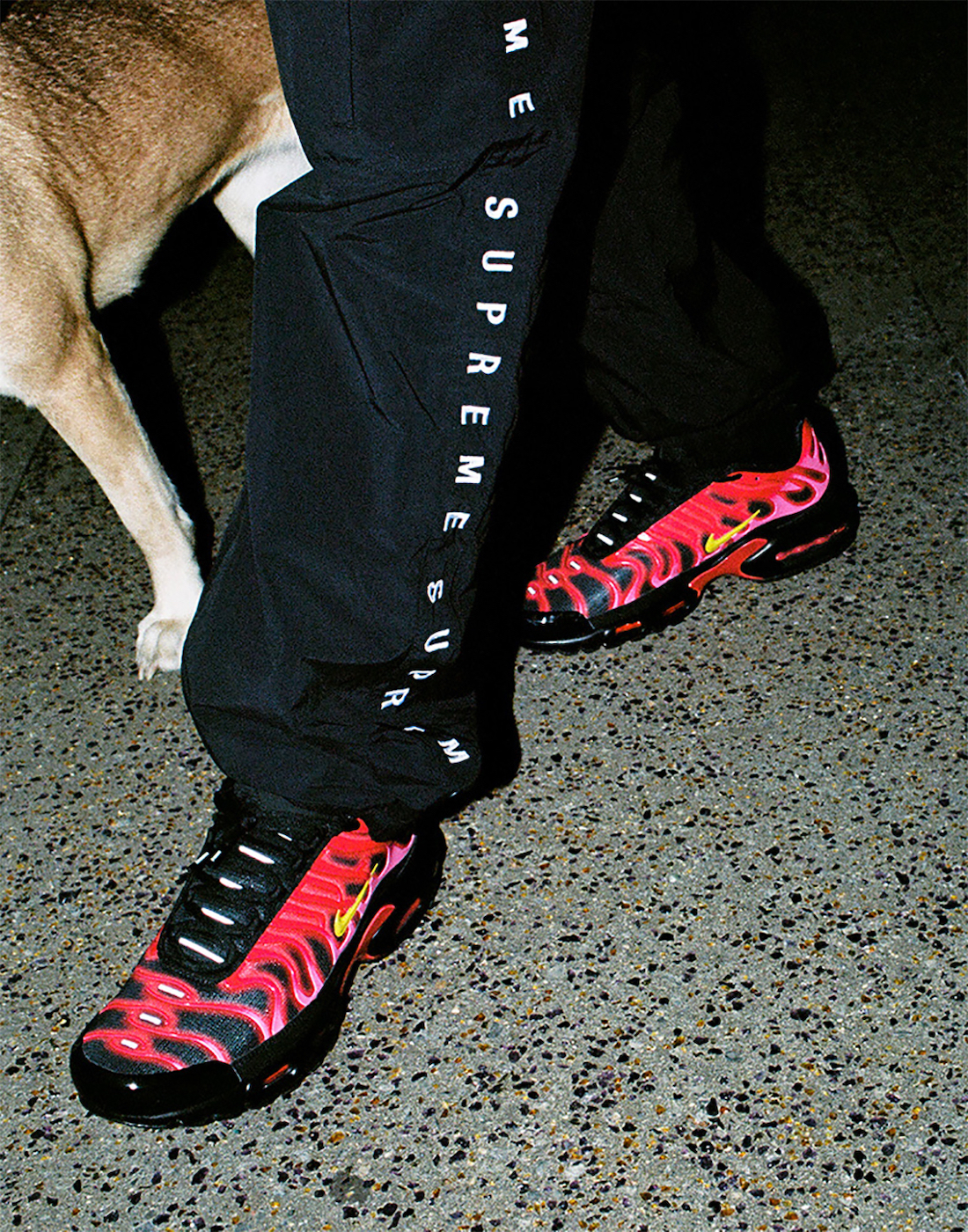 Supreme x Nike Air Max Plus TN