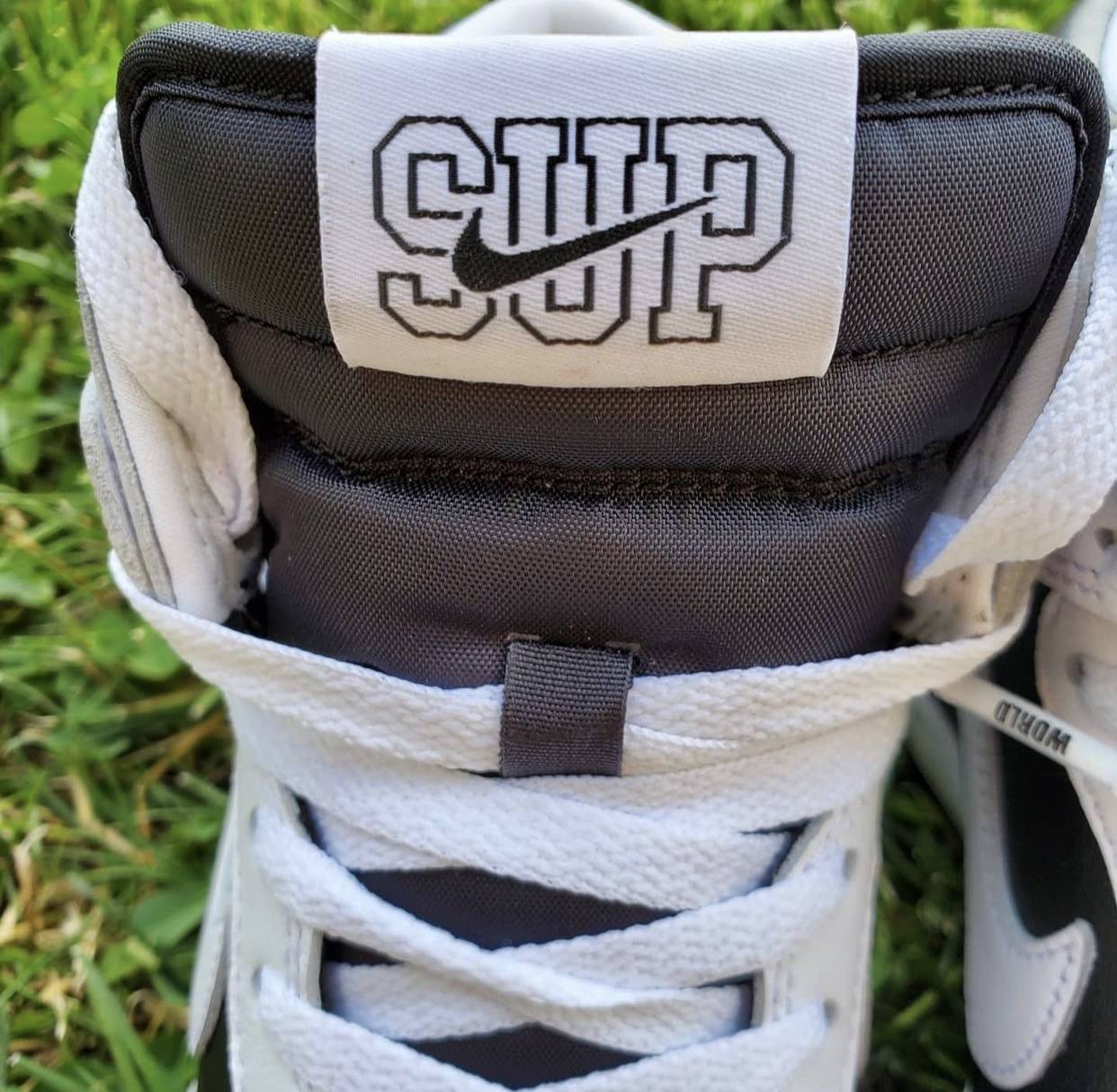 Supreme x Nike SB Dunk High “By Any Means”