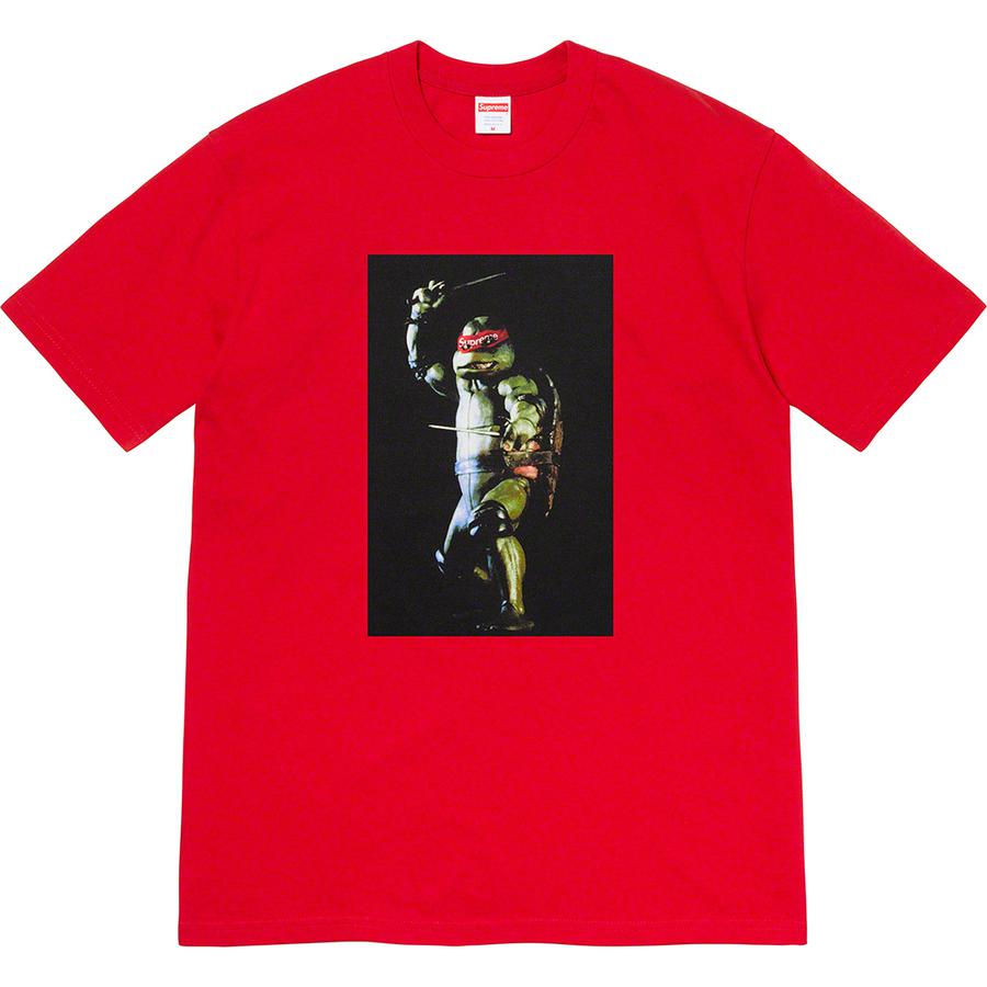 Supreme Raphael Tee
