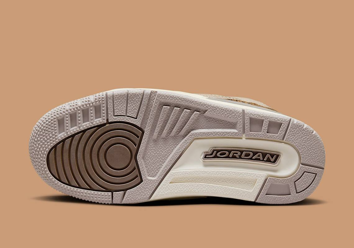 Air Jordan 3