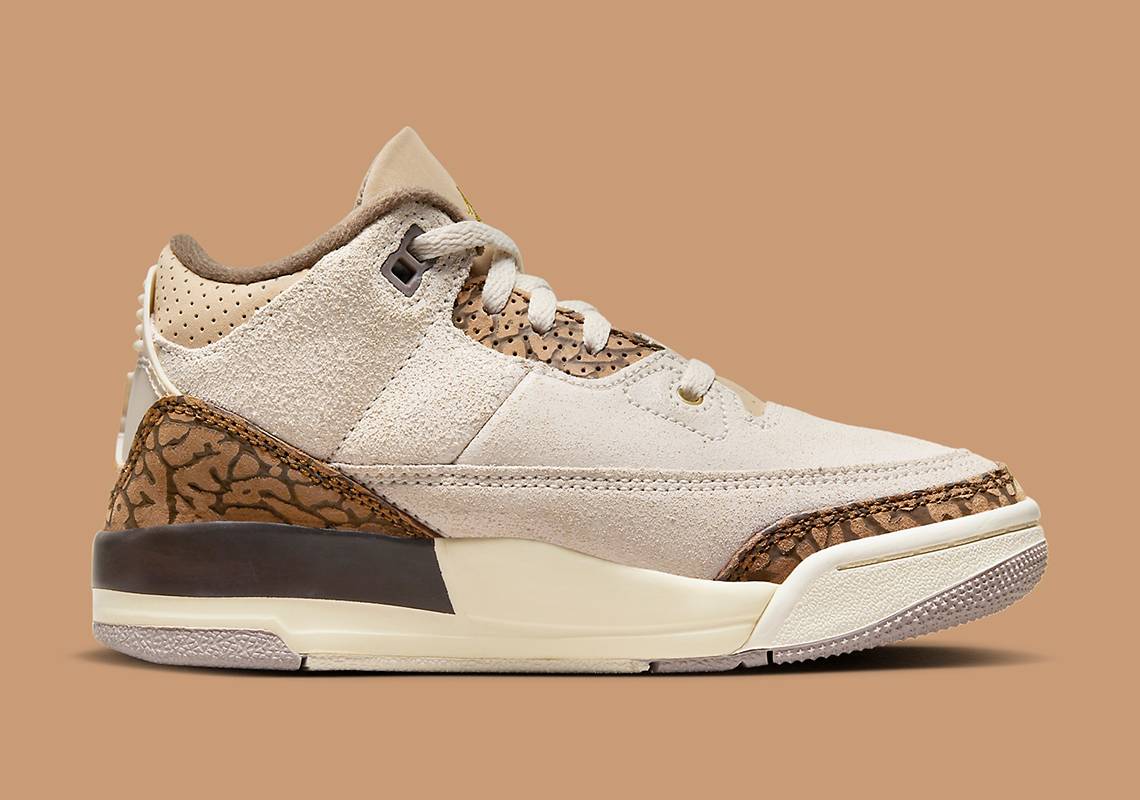 Air Jordan 3