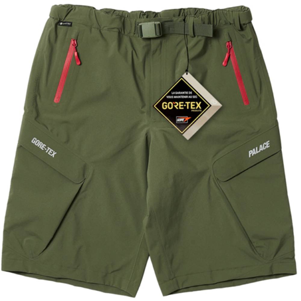 Gore-tex R-tek Cargo Short Olive