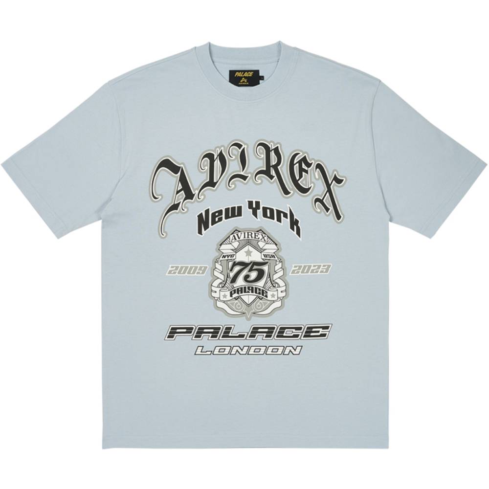 Palace Avirex T-shirt Chill Blue