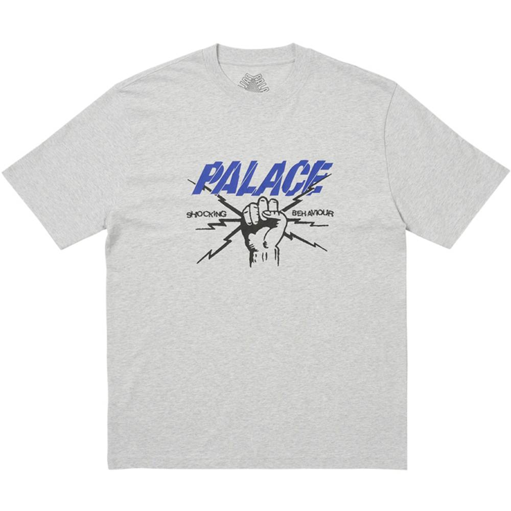 Shocking Behaviour T-shirt Grey Marl