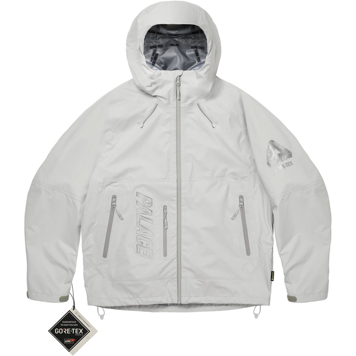 Gore-tex 3l Palex Jacket Cloud
