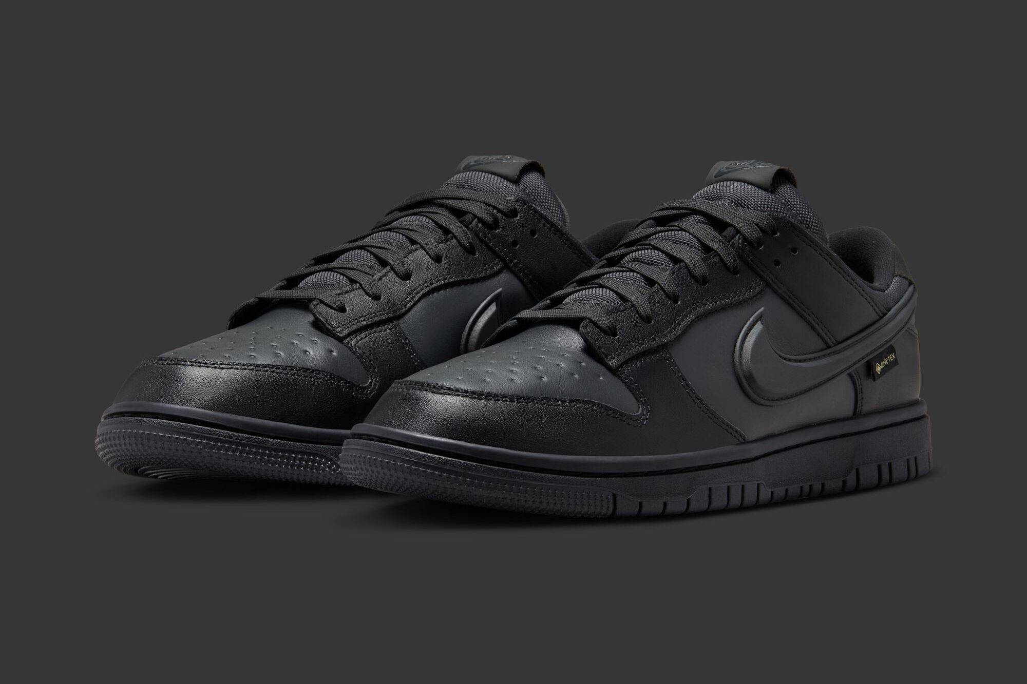 Nike Dunk Low GORE-TEX