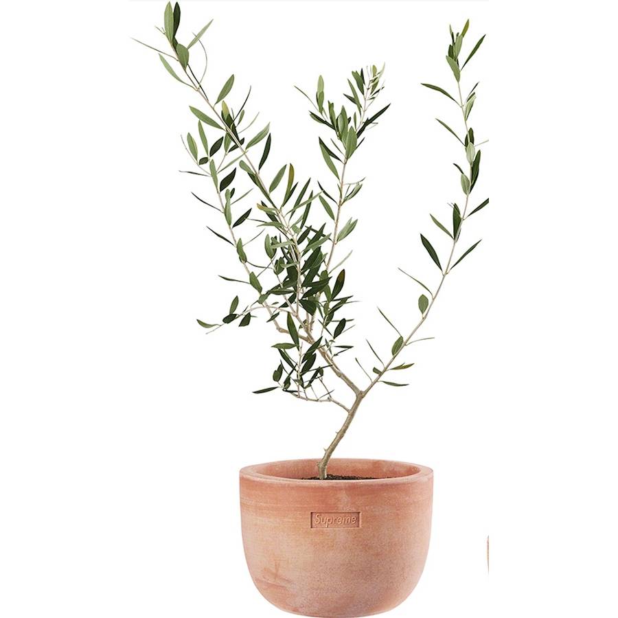 Supreme®/poggi Ugo Large Planter