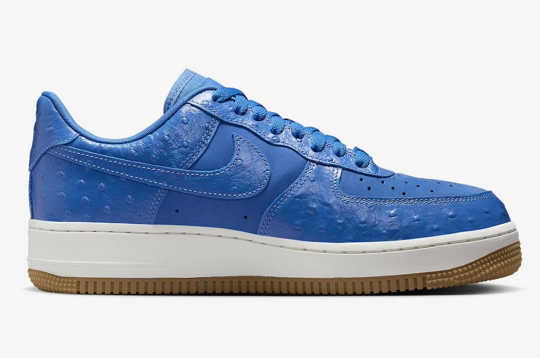Nike Air Force 1 Low Blue Ostrich