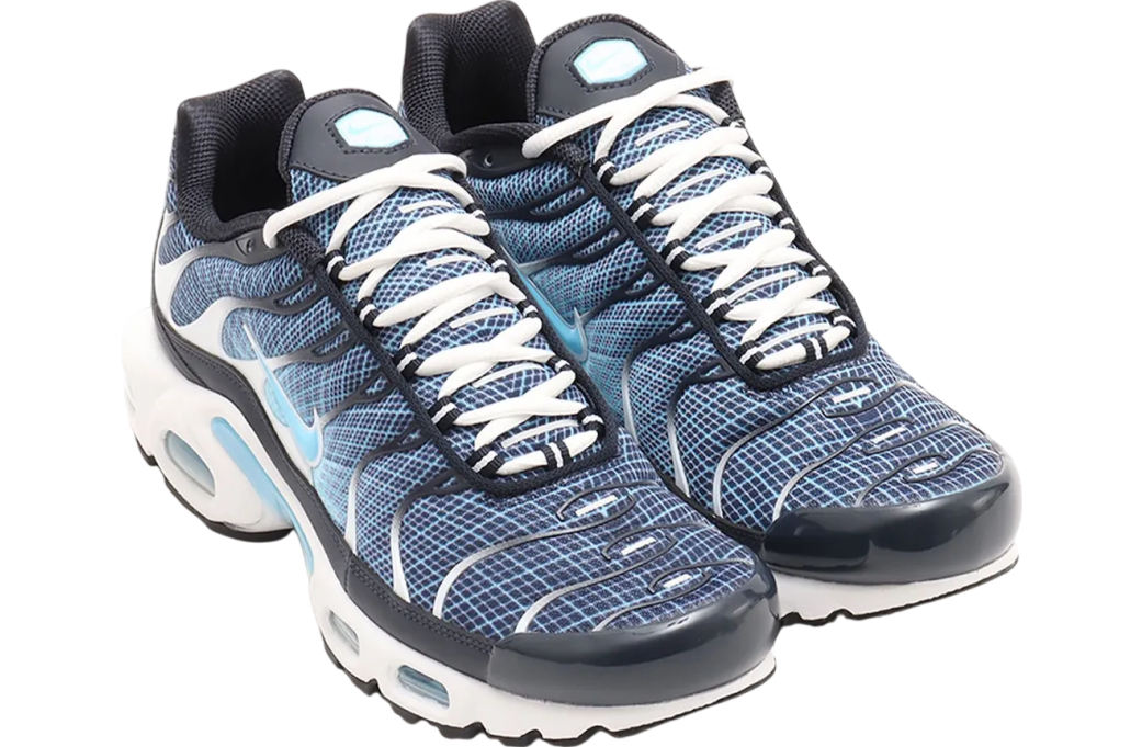 Nike Air Max Plus Dark Obsidian / Blue Chill