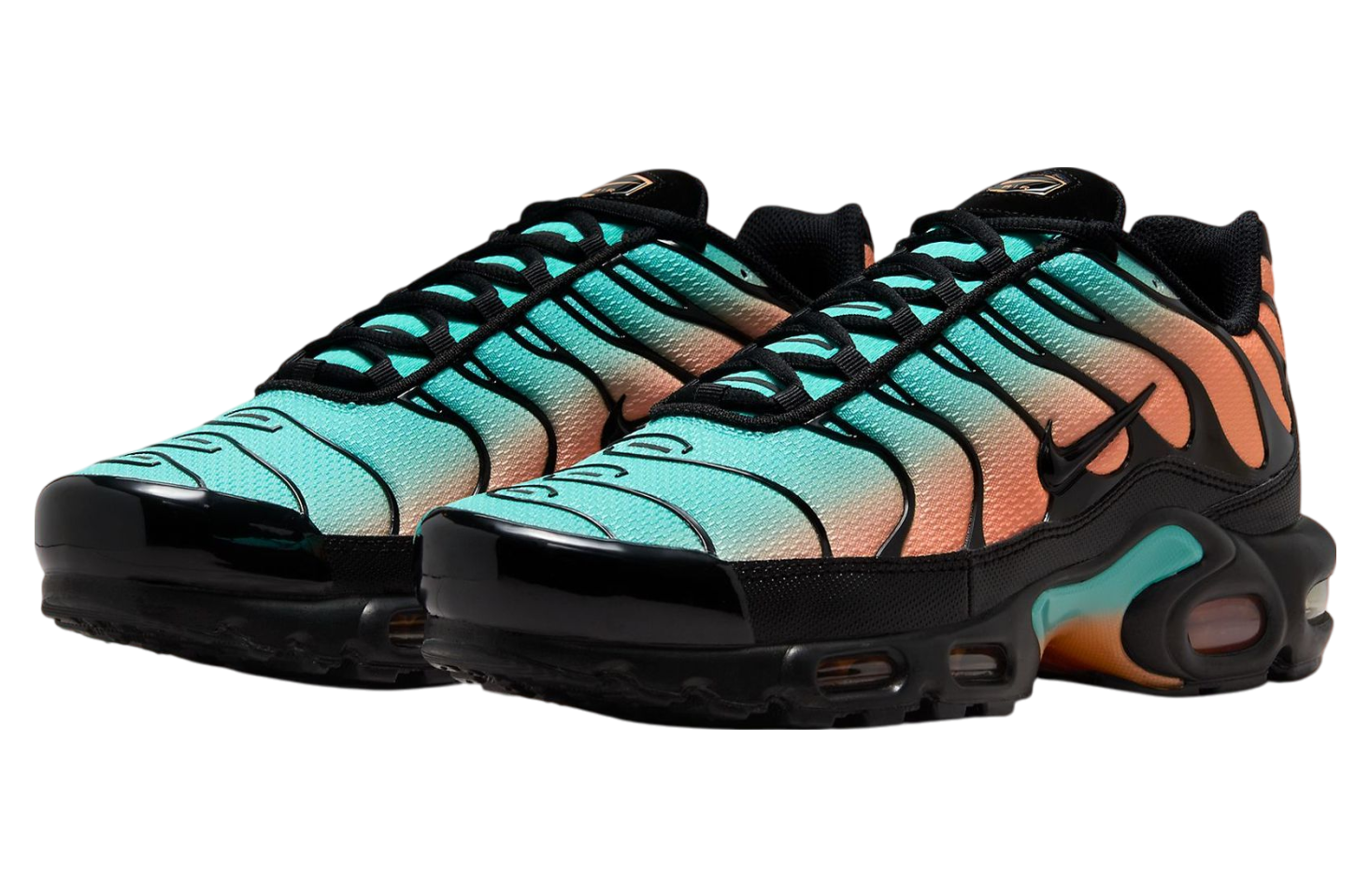 Nike Air Max Plus Soflo Gradient