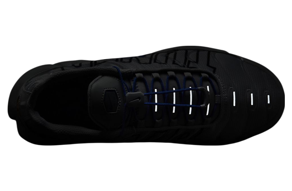 Nike Air Max Plus Wolf Grey / Anthracite